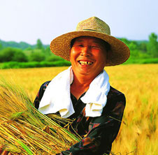 用吉姆克秸稈顆粒機(jī)，讓廢秸稈變大財(cái)富!